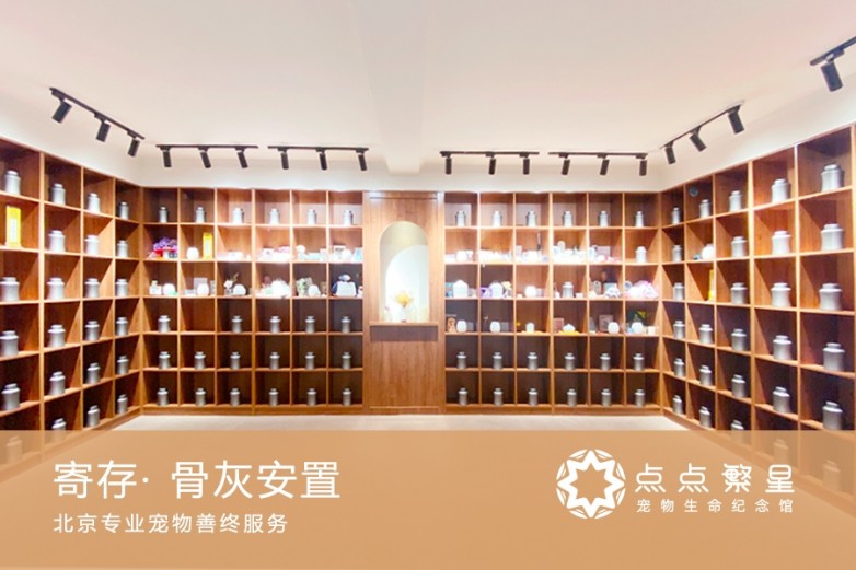 ​北京宠物善终推荐：点点繁星，以温柔仪式守护毛孩子最后一程