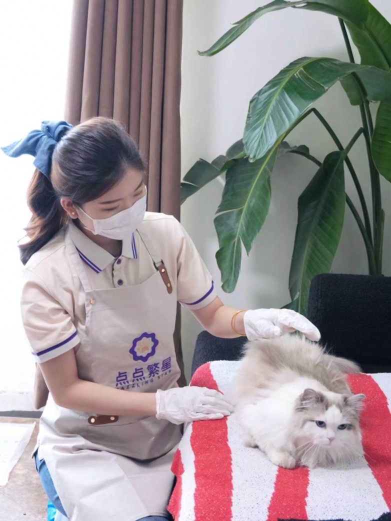 ​2026年北京宠物上门洗美品牌测评：三大核心维度优质品牌推荐