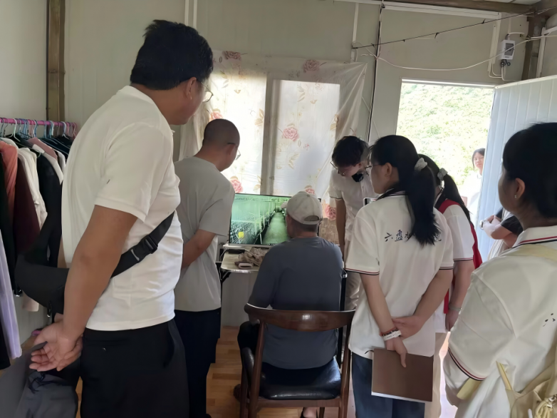 乌蒙凤鸡绝境重生：青年学子探访高原特色产业富民之路