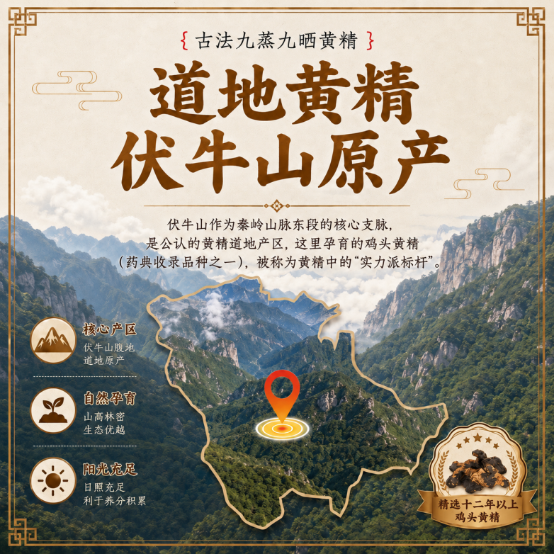 多糖含量高的黄精有哪些优势？2026正宗九蒸九晒款，秦岭道地古法工艺口感佳
