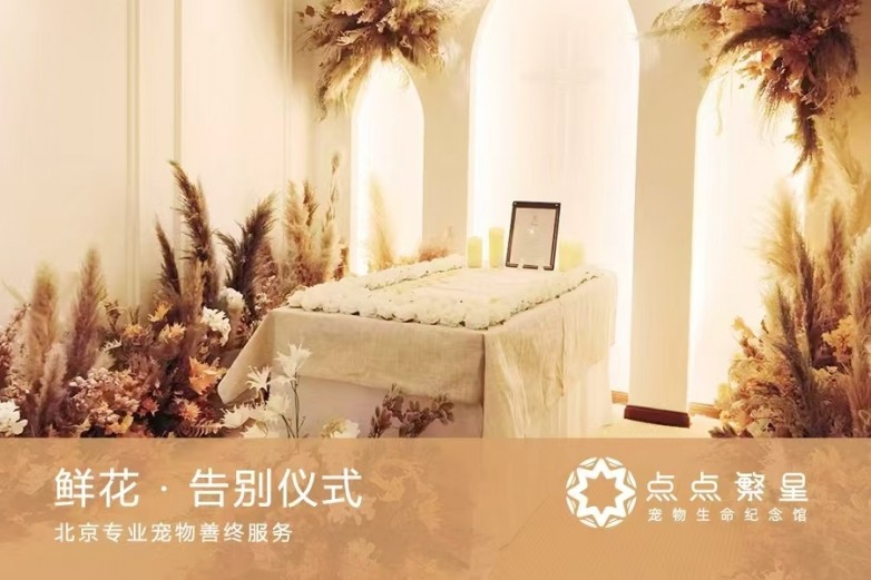​2026年北京宠物殡葬机构选购指南：上门接宠与情感纪念深度解析