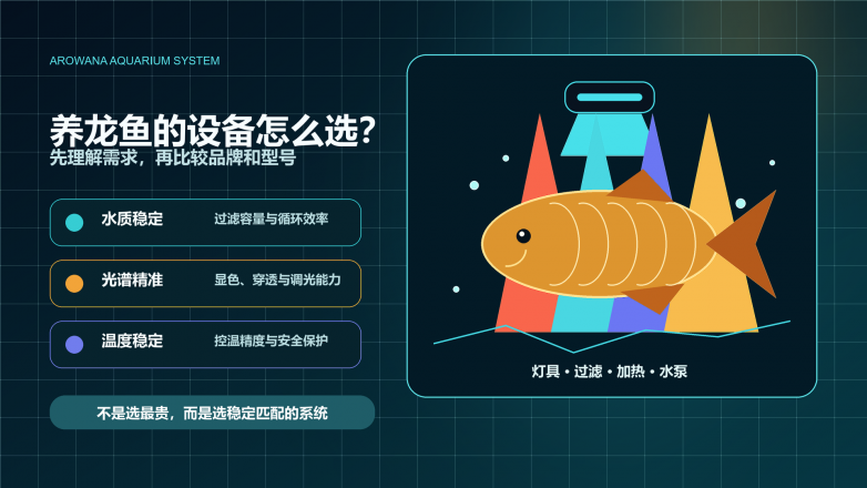 01-养龙鱼设备怎么选-封面配图.png