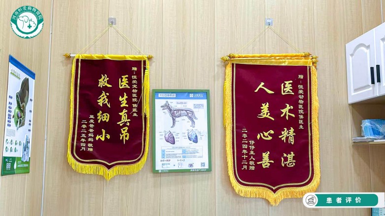 相伴多年温暖守护，河南恒爱动物医院用心陪伴毛孩子一生