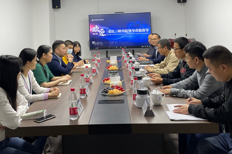 重庆览辉信息技术有限公司规模怎么样：专业实力与团队规模解析