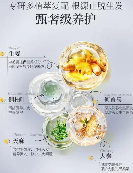 d2f8049eb04bcdf5f9e90f4b2e17aef8.png