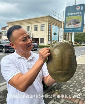 111.jpg